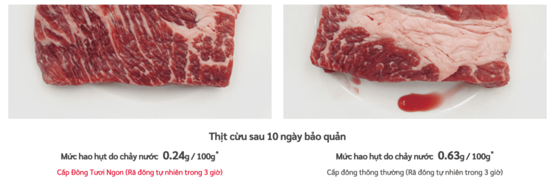 Công nghệ cấp đông nhanh - giữ chọn hương vị thịt cá