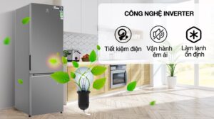 Tủ Lạnh Electrolux Inverter 2 Cánh 335 lít EBB3702K-A