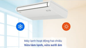 Điều Hòa Áp Trần Panasonic 2 chiều 24000BTU CS-F24DTE5/CU-B24DBE5