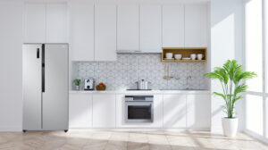 Tủ Lạnh LG Inverter 519 lít GR-B256JDS