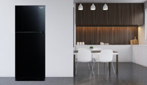 Tủ Lạnh Mitsubishi Electric Inverter 2 Cánh 243 Lít MR-FC29EP-OB-V