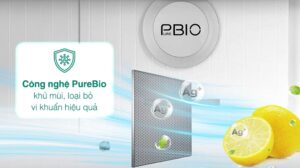 Tủ Lạnh Toshiba Inverter 2 Cánh 312 Lít GR-RT416WE-PMV(58)-MM