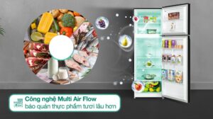 Tủ Lạnh Toshiba Inverter 2 Cánh 312 Lít GR-RT416WE-PMV(58)-MM