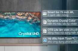 Tận hưởng giải trí không giới hạn với Smart Tivi Samsung UA75BU8000KXXV 4K