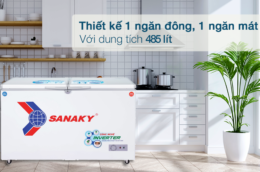 TOP 3 tủ đông Sanaky bán chạy nhất năm 2023 tại điện máy Thuận Thành