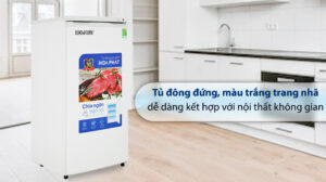 Tủ Đông Funiki Hòa Phát 147 Lít HPF UAH6147 Đứng