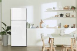 Tủ lạnh Samsung RT38CB668412SV 385 lít có những ưu, nhược điểm gì?