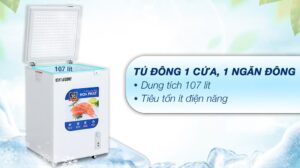 Tủ Đông Funiki Hòa Phát HCF-106S1N 1 Ngăn Đông 107 Lít