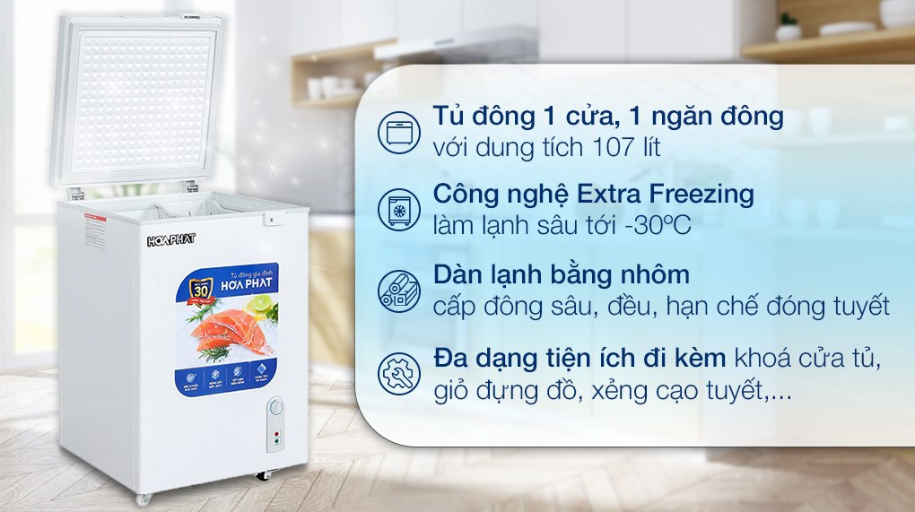 Tủ Đông Funiki Hòa Phát HPF AN6107 1 Ngăn Đông 107 lít