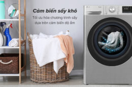 Những ưu điểm khiến máy sấy bơm nhiệt LG DVHP50P được nhiều gia đình ưa chuộng