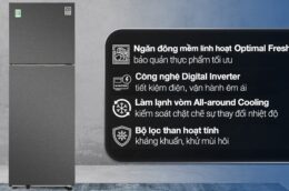 Tủ lạnh Samsung RT31CG5424B1SV 2 cánh: Mẫu tủ lạnh giá rẻ, chất lượng tốt đáng mua