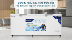 Tủ Đông Hòa Phát Funiki HPF AD6783.1 Dàn Đồng 2 cánh 783 Lít