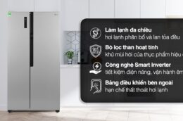 Tủ lạnh LG GR-B256JDS Inverter có những ưu, nhược điểm gì?