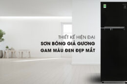 Tủ Lạnh Samsung RT25M4032BU/SV mang lại nhiều tiện nghi cho gia đình Việt