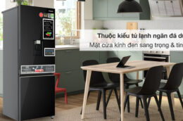 Gợi ý 3 mẫu tủ lạnh Panasonic ngăn đá dưới chất lượng, giá hợp lý nên mua