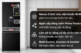 Khám phá những ưu điểm nổi bật của tủ lạnh Panasonic NR-BV331WGKV 2 cánh