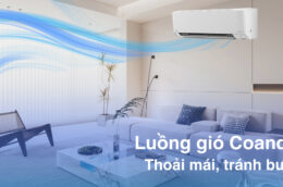 4 mùa trọn vẹn với điều hòa Daikin FTXM35XVMV