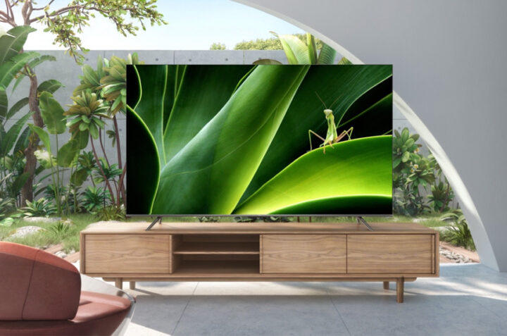 Google Tivi TCL 65P737 65 inch: Chất lượng quá tốt với một sản phẩm giá rẻ