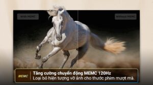 Google Tivi TCL 4K 65 inch 65P79B Pro