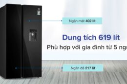 Những ưu điểm của tủ lạnh Electrolux ESE6645A-BVN 619 Lít