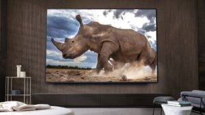 Smart Tivi LG 55 Inch 4K NanoCell 55NANO81TSA
