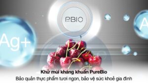 Tủ Lạnh Toshiba Side By Side Inverter 596 Lít GR-RS780WI-PGV(22)-XK