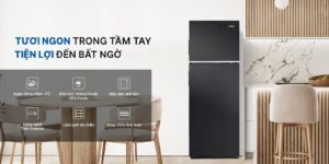 Tủ Lạnh Aqua Inverter 236 Lít AQR-T260FA(FB)