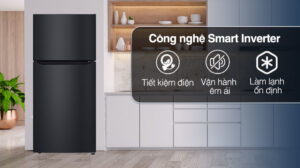Tủ Lạnh LG Inverter 572 Lít LTB55BLMD