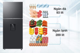 Tủ lạnh Samsung RT38CG6584B1/SV 382 lít: Lựa chọn thích hợp cho gia đình dưới 4 người