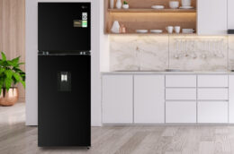 Những lý do khiến Tủ lạnh LG GV-D262BL được khách hàng yêu thích