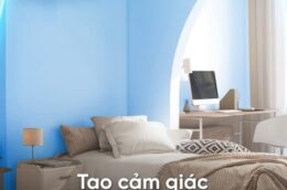 Điều hòa Daikin FTKB50ZVMV model 2025 có gì nổi trội?