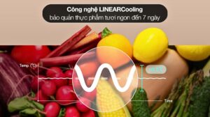 Tủ Lạnh LG Inverter 2 Cánh 335 Lít LBB33BLGA