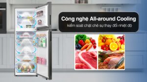 Tủ Lạnh Samsung Inverter 305 Lít RT31CG5424B1/SV