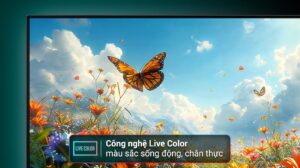 Google Tivi Sony 55 Inch 4K K-55S20M2