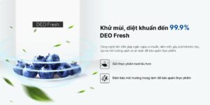 Tủ Lạnh Aqua Inverter 236 Lít AQR-T265FA(WFB)