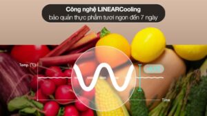 Tủ Lạnh LG Inverter 2 Cánh 335 Lít LTB33BLG