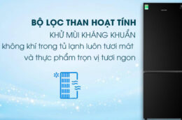 Những ưu điểm nổi bật của tủ lạnh Samsung RB30N4010BU/SV