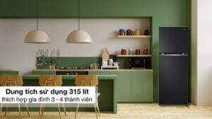 Tủ Lạnh LG Inverter 2 Cánh 315 Lít LTB31BLM