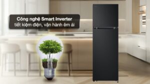 Tủ Lạnh LG Inverter 2 Cánh 263 Lít LTB26BLM