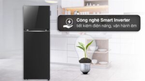 Tủ Lạnh LG Inverter 2 Cánh 335 Lít LTB33BLG