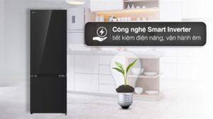 Tủ Lạnh LG Inverter 2 Cánh 335 Lít LBB33BLGA