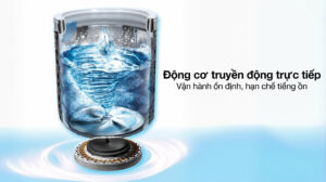 Máy Giặt Toshiba Inverter 17Kg AW-T08DUH1800MV(MG)