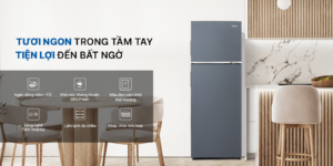 Tủ Lạnh Aqua Inverter AQR-T299FA(SL) 283 Lít