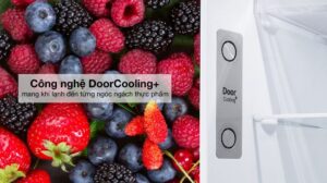 Tủ Lạnh LG Inverter 2 Cánh 334 Lít LTD33BLM