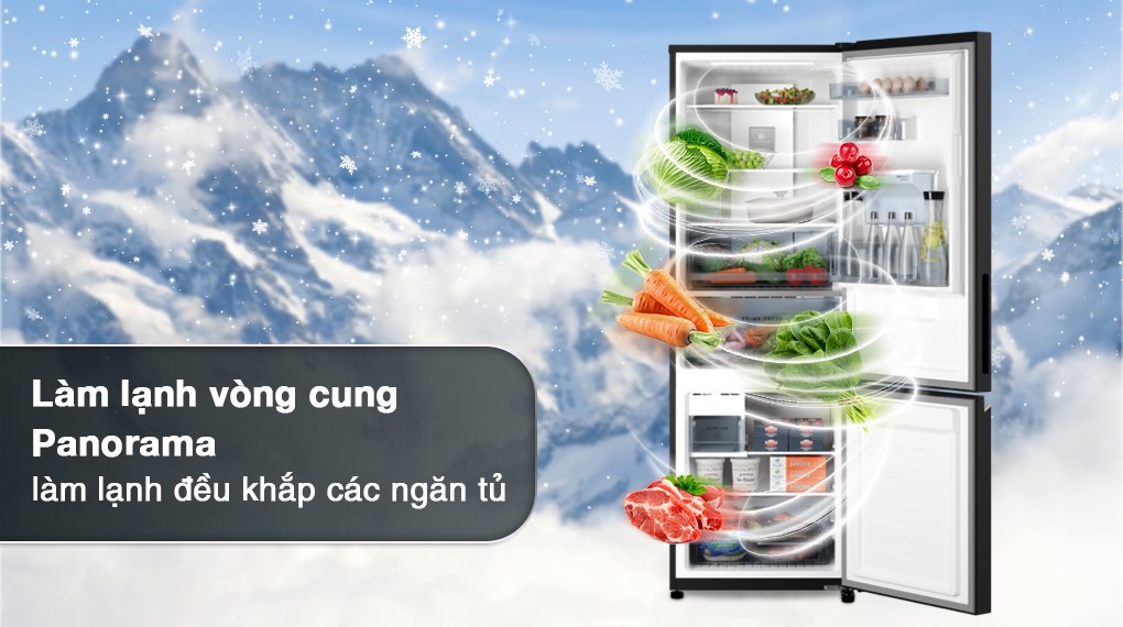 Tủ Lạnh Panasonic Inverter 2 Cánh 325 Lít NR-BV361WGKV