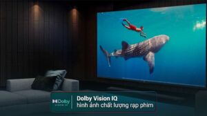 Google Tivi TCL 4K 98 Inch Mini LED 98C855