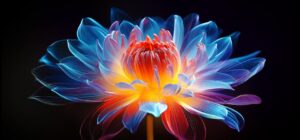 Smart Tivi LG QNED 4K 85 Inch 85QNED92ASA