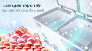 Tủ Đông Alaska Dàn Đồng BCD-4568C 2 Ngăn 2 Cánh 450 Lít