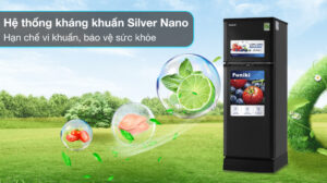 Tủ Lạnh Funiki Inverter HR T8209TDG 2 Cánh 209 Lít