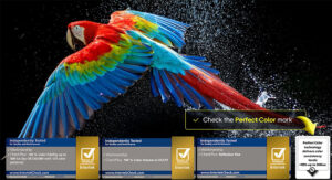 Smart Tivi LG OLED 97 Inch 4K OLED97M5PSA